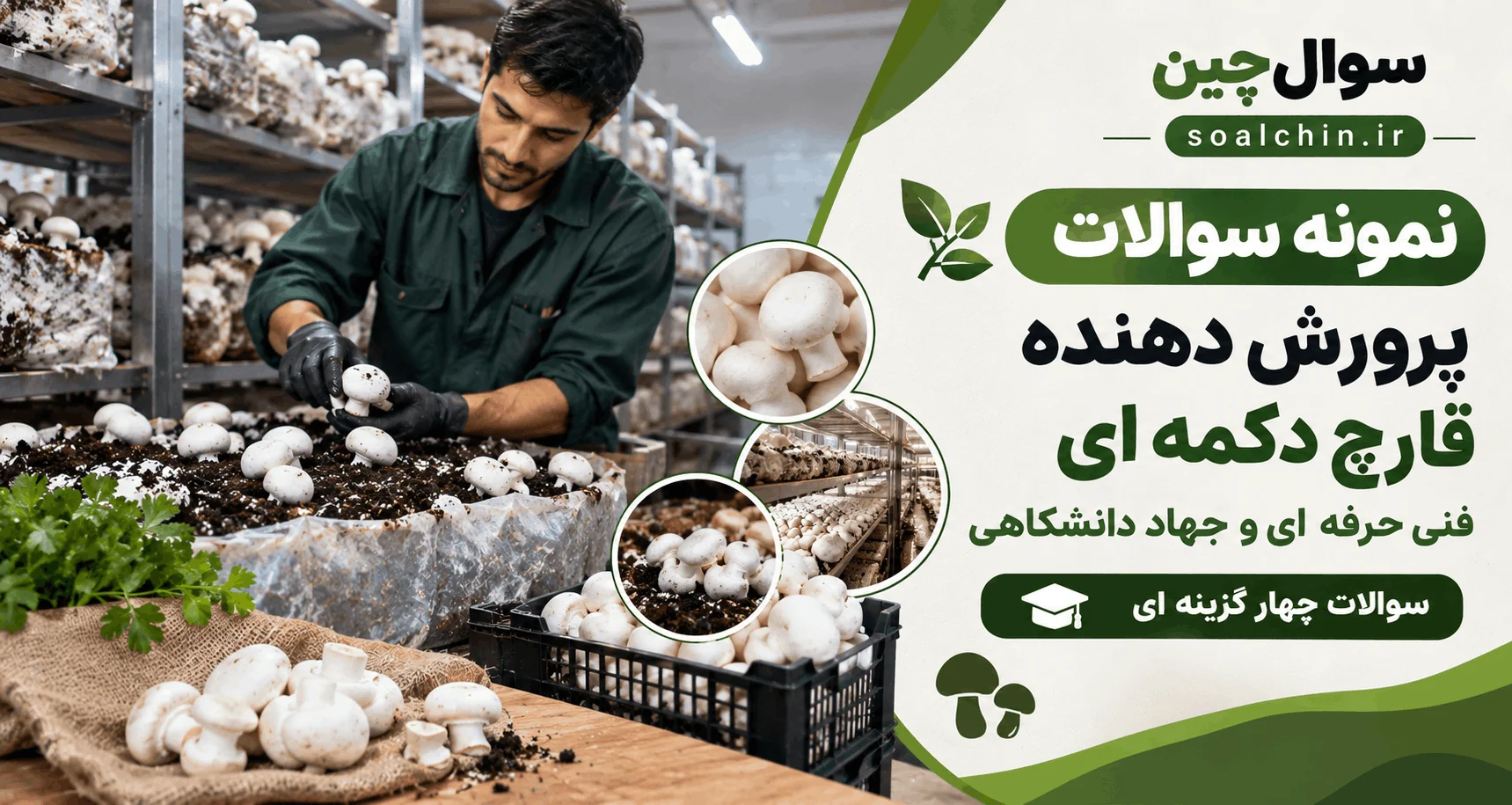 نمونه سوالات پرورش دهنده قارچ دکمه ای